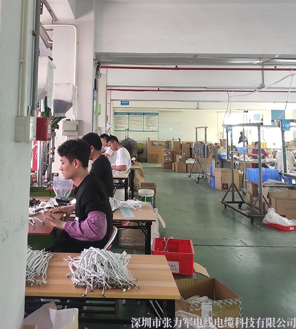 1596596146293494.jpg 成型區(qū).jpg